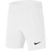 Шорты NIKE Boys Court Flex Ace