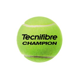 Мячи теннисные TECNIFIBRE CHAMPION (3)