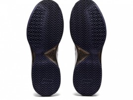 Кроссовки ASICS GEL-DEDICATE 7 CLAY